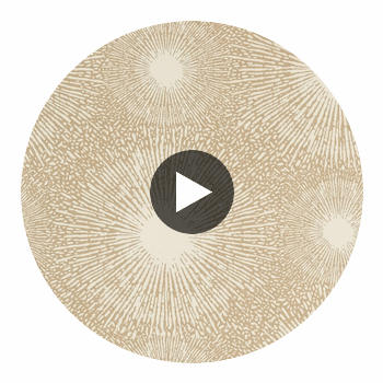 Anthology Perlite Opal / Gold Mineral | Harlequin UK Circular Swatch | Harlequin