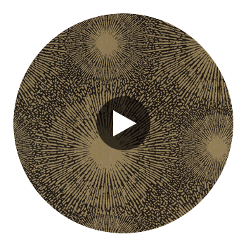Anthology Perlite Gold Iridescent / Coal | Harlequin UK Circular Swatch | Harlequin