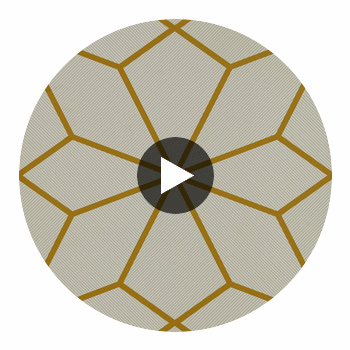 Axal Litchen | Harlequin UK Circular Swatch | Harlequin