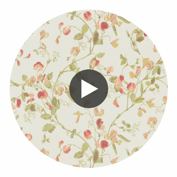 Sweet Pea - Pink  By Cole & Son | Cole & Son Archive Anthology |Botanical & Floral  Wallcovering Print Circular Swatch | DW