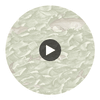 Melville - Green  By Cole & Son | Cole & Son Whimsical | Animal/Insects Wallcovering Print Circular Swatch | DW