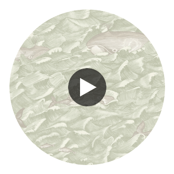 Melville - Green  By Cole & Son | Cole & Son Whimsical | Animal/Insects Wallcovering Print Circular Swatch | DW