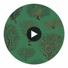 Seafern - Emerald Emerald By Cole & Son | Cole & Son Curio |  Wallcovering Print Circular Swatch | DW
