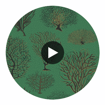 Seafern - Emerald Emerald By Cole & Son | Cole & Son Curio |  Wallcovering Print Circular Swatch | DW