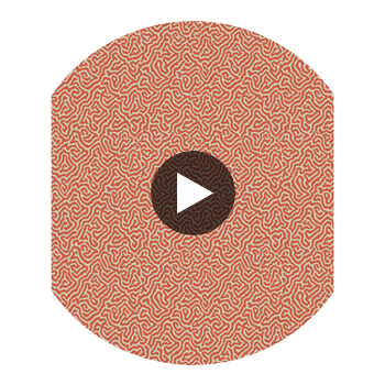 Vermicelli - Coral Orange By Cole & Son | Cole & Son Curio |  Wallcovering Print Circular Swatch | DW