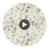 Sweet Pea - Violet  By Cole & Son | Cole & Son Archive Anthology |Botanical & Floral  Wallcovering Print Circular Swatch | DW