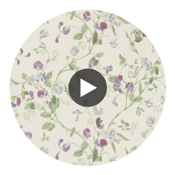 Sweet Pea - Violet  By Cole & Son | Cole & Son Archive Anthology |Botanical & Floral  Wallcovering Print Circular Swatch | DW