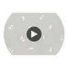 Peaseblossom - Grey  By Cole & Son | Cole & Son Whimsical | Animal/Insects Wallcovering Print Circular Swatch | DW