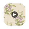 Madras Violet - Olive & Lavender  By Cole & Son | Cole & Son Archive Anthology |Botanical & Floral  Wallcovering Print Circular Swatch | DW