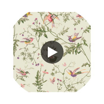 Hummingbirds - Green Multi-Colour  By Cole & Son | Cole & Son Selection Of Hummingbirds |Animal/Insects Botanical & Floral Wallcovering Print Circular Swatch | DW