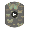 Butterflies & Dragonflies - Green On Char  By Cole & Son | Cole & Son Whimsical | Animal/Insects Wallcovering Print Circular Swatch | DW