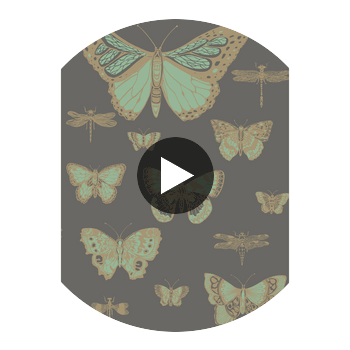 Butterflies & Dragonflies - Green On Char  By Cole & Son | Cole & Son Whimsical | Animal/Insects Wallcovering Print Circular Swatch | DW