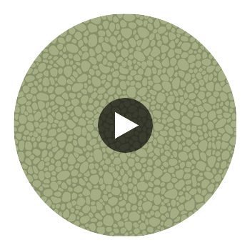 Pebble - Dark Olive Olive Green By Cole & Son | Cole & Son Landscape Plains |  Wallcovering Print Circular Swatch | DW