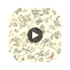 Winter Birds - Linen  By Cole & Son | Cole & Son Archive Anthology |Animal/Insects Botanical & Floral Wallcovering Print Circular Swatch | DW