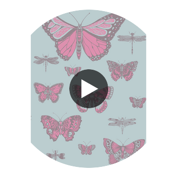 Butterflies & Dragonflies - Pink On Blue  By Cole & Son | Cole & Son Whimsical | Animal/Insects Wallcovering Print Circular Swatch | DW