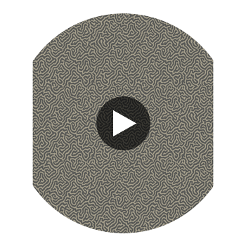 Vermicelli - Black & Linen Black By Cole & Son | Cole & Son Curio |  Wallcovering Print Circular Swatch | DW