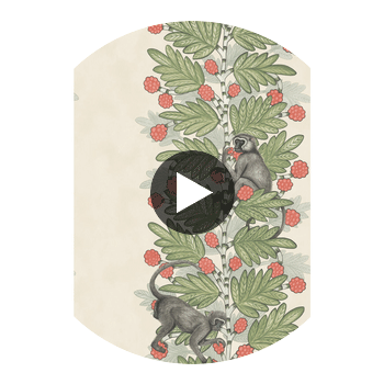 Acacia - Green & Coral Berries Multi By Cole & Son | Cole & Son Ardmore |  Wallcovering Print Circular Swatch | DW