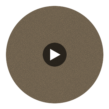 Goldstone - Black & Bronze Bronze By Cole & Son | Cole & Son Curio |  Wallcovering Print Circular Swatch | DW