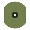 Vermicelli - Green & Gold Green By Cole & Son | Cole & Son Curio |  Wallcovering Print Circular Swatch | DW