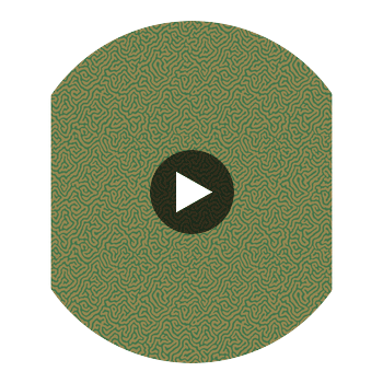 Vermicelli - Green & Gold Green By Cole & Son | Cole & Son Curio |  Wallcovering Print Circular Swatch | DW