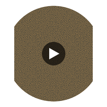 Vermicelli - Black & Bronze Black By Cole & Son | Cole & Son Curio |  Wallcovering Print Circular Swatch | DW