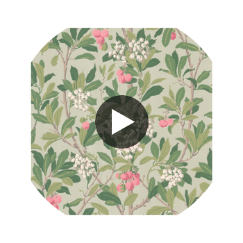 Strawberry Tree - Pink & Duck Egg  By Cole & Son | Cole & Son Archive Anthology |Botanical & Floral  Wallcovering Print Circular Swatch | DW