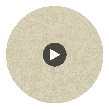 Cordovan - Fawn Wheat By Cole & Son | Cole & Son Landscape Plains |  Wallcovering Print Circular Swatch | DW