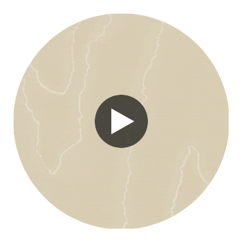 Watered Silk - Fawn Wheat By Cole & Son | Cole & Son Landscape Plains |  Wallcovering Print Circular Swatch | DW