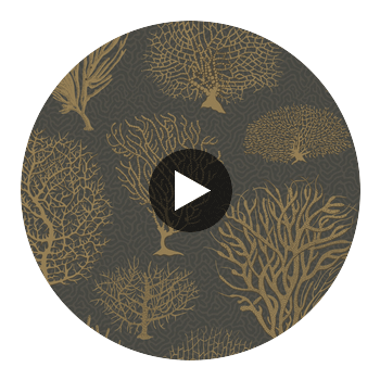 Seafern - Black & Gold Black By Cole & Son | Cole & Son Curio |  Wallcovering Print Circular Swatch | DW