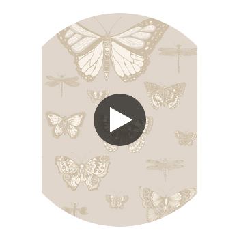 Butterflies & Dragonflies - Grey  By Cole & Son | Cole & Son Whimsical | Animal/Insects Wallcovering Print Circular Swatch | DW