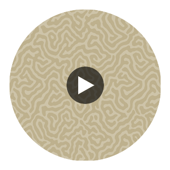 Coral - Linen Taupe By Cole & Son | Cole & Son Landscape Plains |  Wallcovering Print Circular Swatch | DW