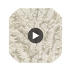 Florencecourt - Stone  By Cole & Son | Cole & Son Archive Anthology |Botanical & Floral  Wallcovering Print Circular Swatch | DW
