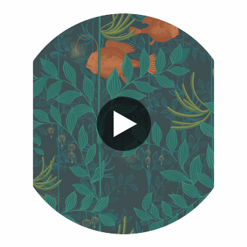 Nautilus - Dark Green  By Cole & Son | Cole & Son Whimsical | Animal/Insects Wallcovering Print Circular Swatch | DW