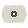 Peaseblossom - Stone  By Cole & Son | Cole & Son Whimsical | Animal/Insects Wallcovering Print Circular Swatch | DW