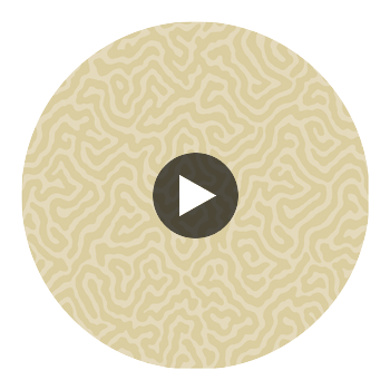 Coral - Cream Ivory By Cole & Son | Cole & Son Landscape Plains |  Wallcovering Print Circular Swatch | DW