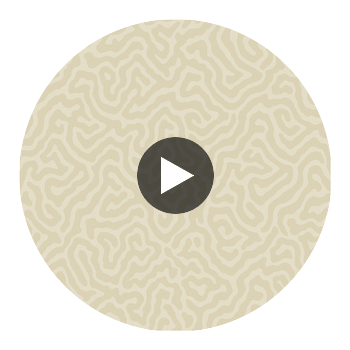 Coral - Parchment Beige By Cole & Son | Cole & Son Landscape Plains |  Wallcovering Print Circular Swatch | DW