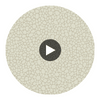 Pebble - Stone Slate By Cole & Son | Cole & Son Landscape Plains |  Wallcovering Print Circular Swatch | DW