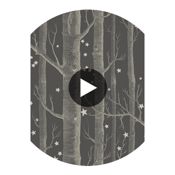Woods & Stars - Charcoal  By Cole & Son | Cole & Son Whimsical | Novelty Wallcovering Print Circular Swatch | DW