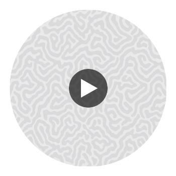 Coral - Dove Light Grey By Cole & Son | Cole & Son Landscape Plains |  Wallcovering Print Circular Swatch | DW