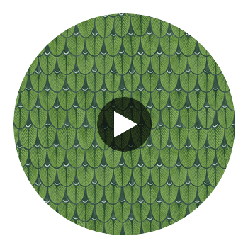 Narina - Leaf Green Green By Cole & Son | Cole & Son Ardmore |  Wallcovering Print Circular Swatch | DW