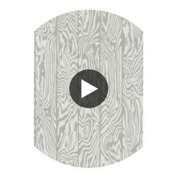 Zebrawood - Grey Grey By Cole & Son | Cole & Son Curio |  Wallcovering Print Circular Swatch | DW
