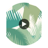Deco Palm - Green  By Cole & Son | Cole & Son Geometric Ii |  Wallcovering Print Circular Swatch | DW