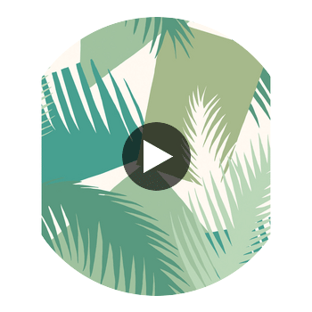 Deco Palm - Green  By Cole & Son | Cole & Son Geometric Ii |  Wallcovering Print Circular Swatch | DW