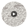 Melville - Sft Blk&Wht  By Cole & Son | Cole & Son Whimsical | Animal/Insects Wallcovering Print Circular Swatch | DW