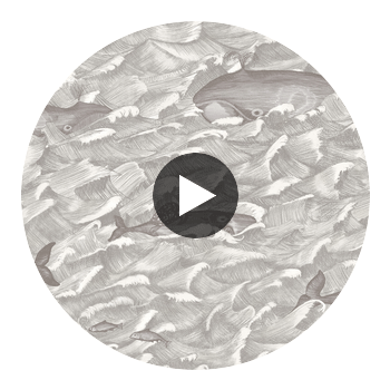 Melville - Sft Blk&Wht  By Cole & Son | Cole & Son Whimsical | Animal/Insects Wallcovering Print Circular Swatch | DW