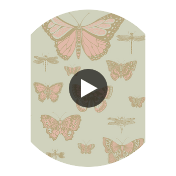Butterflies & Dragonflies - Pink On Oliv  By Cole & Son | Cole & Son Whimsical | Animal/Insects Wallcovering Print Circular Swatch | DW