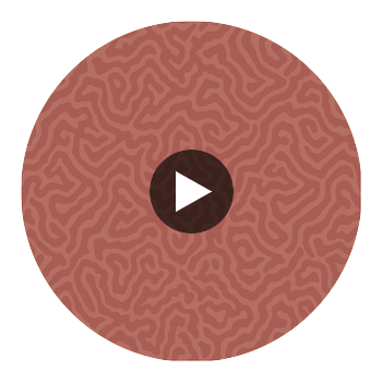 Coral - Red Red By Cole & Son | Cole & Son Landscape Plains |  Wallcovering Print Circular Swatch | DW