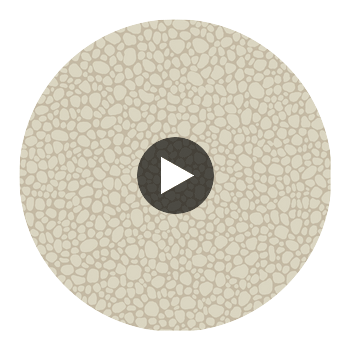 Pebble - Parchment Beige By Cole & Son | Cole & Son Landscape Plains |  Wallcovering Print Circular Swatch | DW