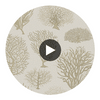 Seafern - Stone Taupe By Cole & Son | Cole & Son Curio |  Wallcovering Print Circular Swatch | DW