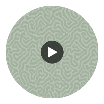 Coral - Sage Sage By Cole & Son | Cole & Son Landscape Plains |  Wallcovering Print Circular Swatch | DW